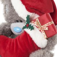 20" Holding Stocking Me To You Bear Extra Image 1 Preview
